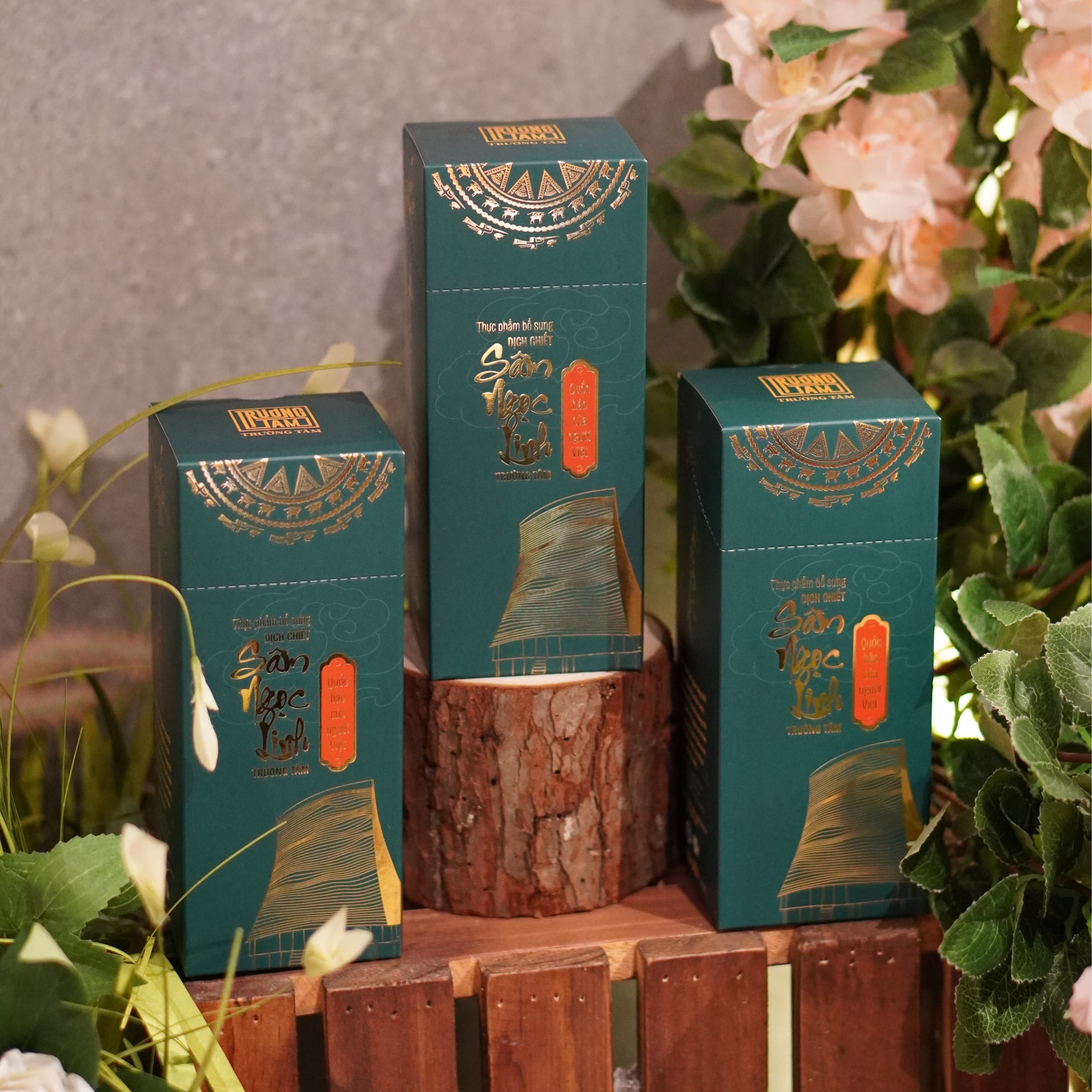 Combo 3 hộp Dịch chiết Sâm Ngọc Linh Trường Tâm