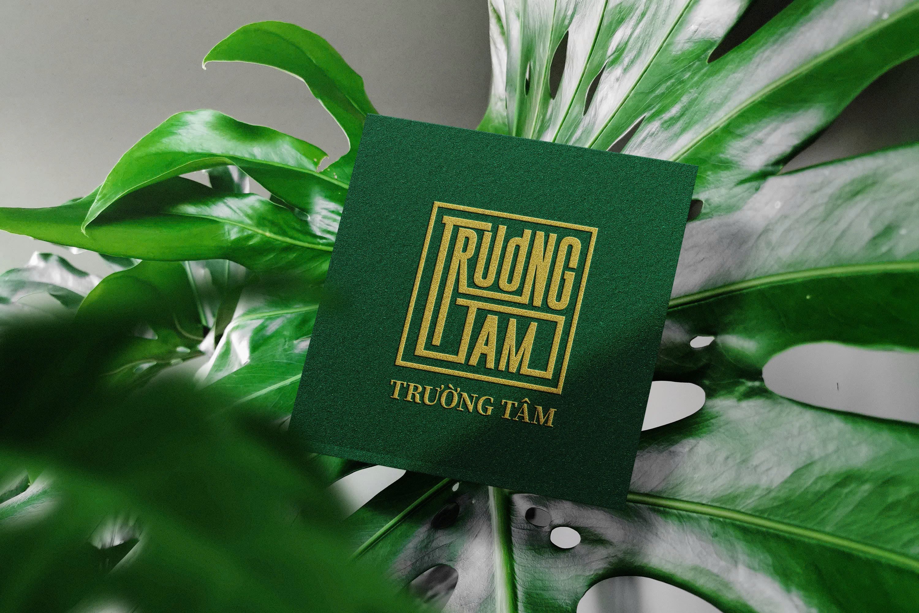 Sâm Ngọc Linh Trường Tâm